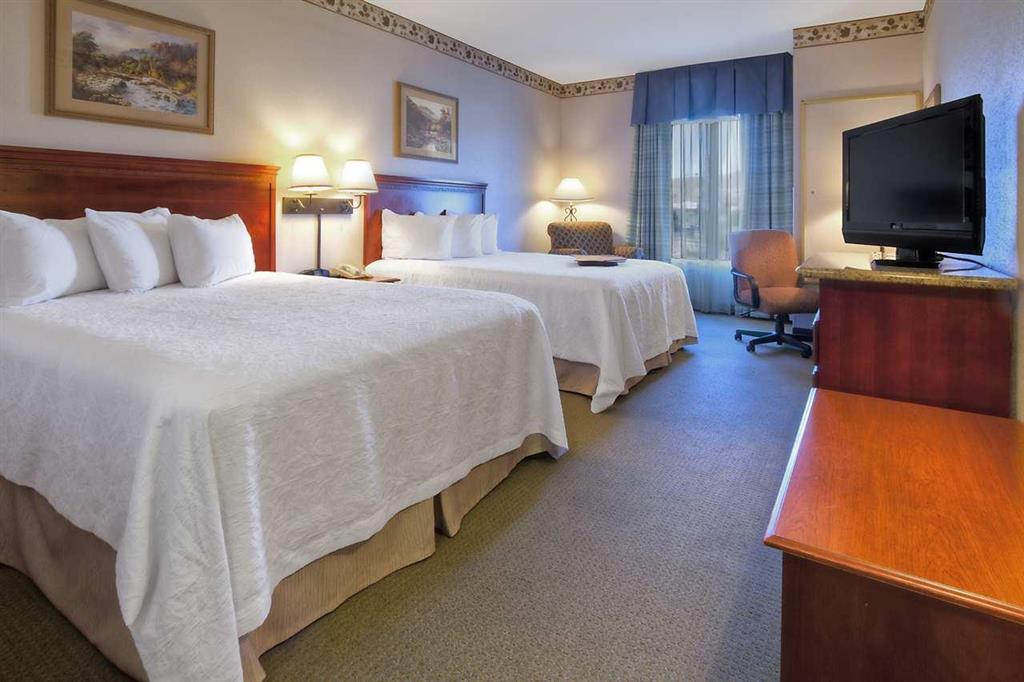 Hampton Inn - Great Falls Kamer foto